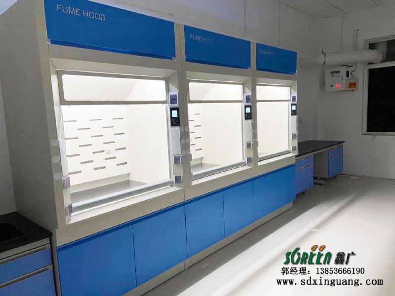 東營市山東大明環保工程技術有限公司實驗室邊臺、通風系統等實驗室家具安裝現場