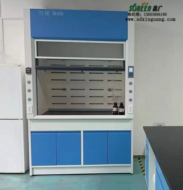山東實驗臺廠家實驗室全鋼通風柜桌上型排風櫥