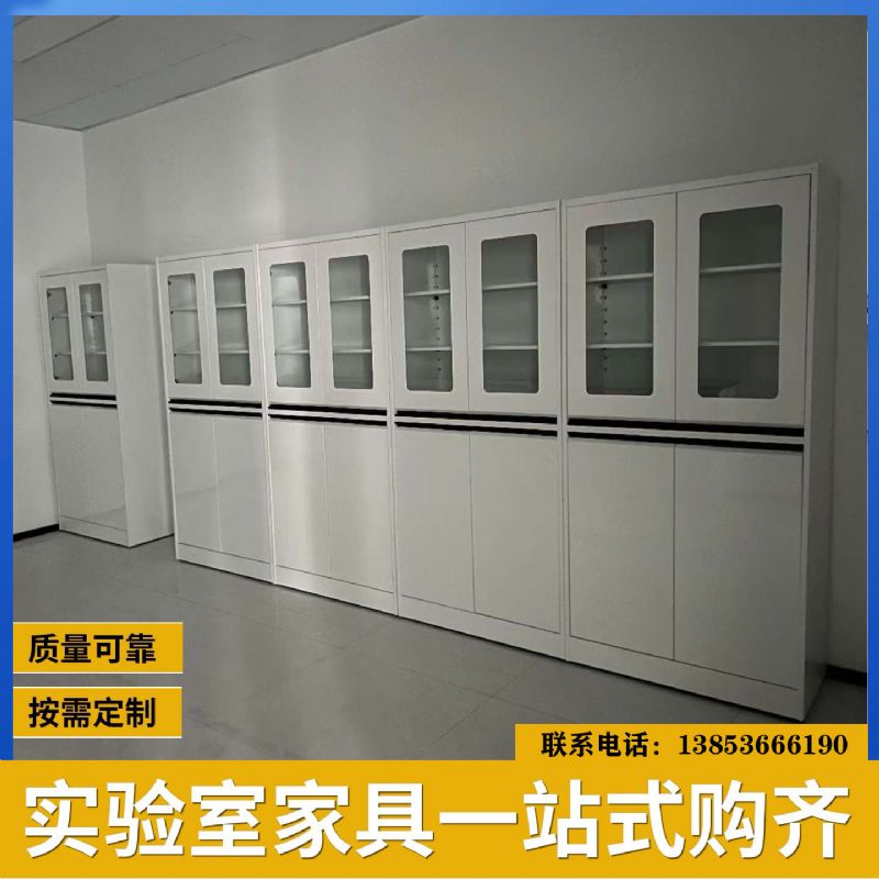 山東實驗臺試劑柜器皿柜 實驗室儀器柜 防腐耐用