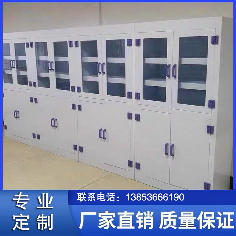 山東實驗室家具pp器皿柜 實驗室試劑柜生產